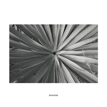 R0011786