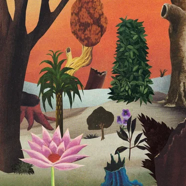 Dream In Dream by Saeko Killy - album cover