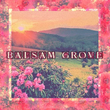 Balsam Grove