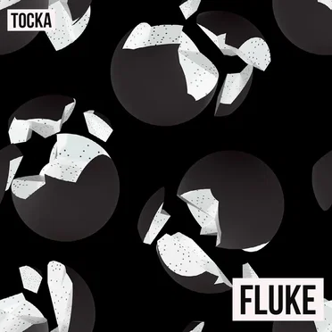 Fluke