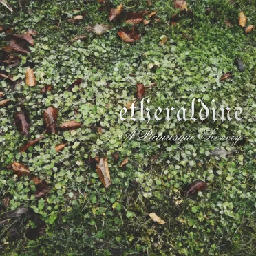 A Picturesque Scenery by Etheraldine - album cover