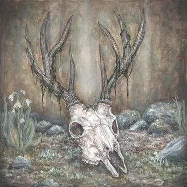 Back to our Roots by Notion of Fortune - album cover