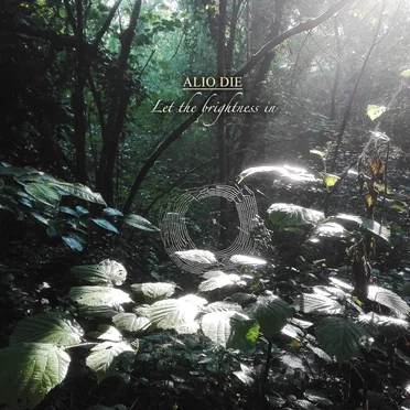 Let the brightness in