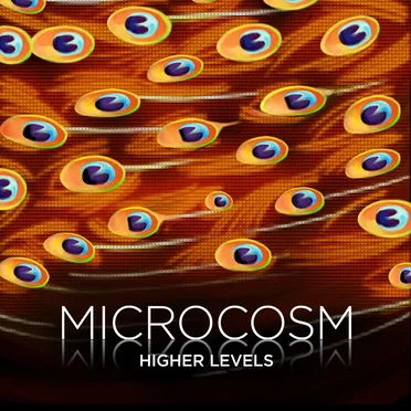 Higher Levels by Microcosm - album cover