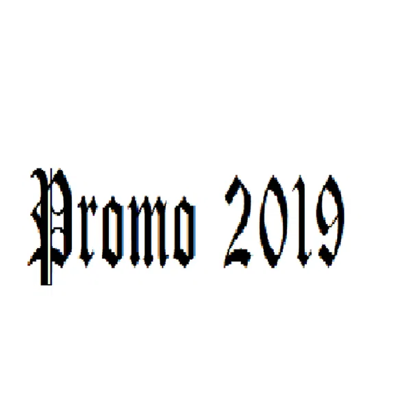 Promo 2019