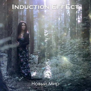 Новый мир by Induction Effect - album cover