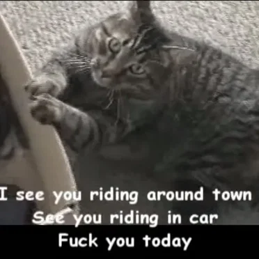 Fuck You (Riding in Car)