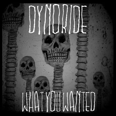What You Wanted by Dynoride - album cover
