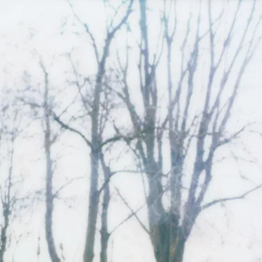 landscape 04
