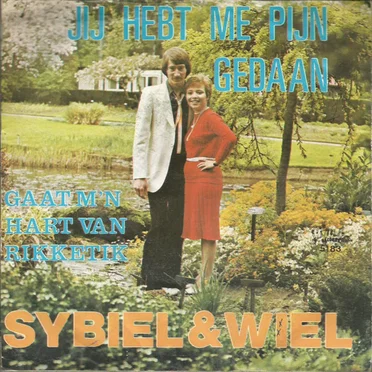 Jij hebt me pijn gedaan