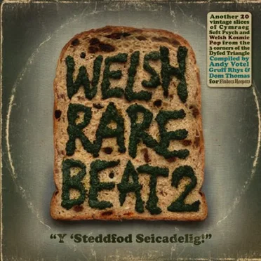Welsh Rare Beat 2 by Various Artists - album cover