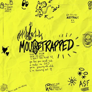 Mousetrapped (remix)