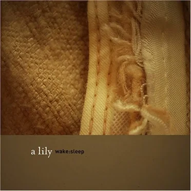 Wake:Sleep by A Lily - album cover