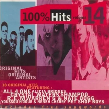 100% Hits, Volume 14 by Various Artists - album cover