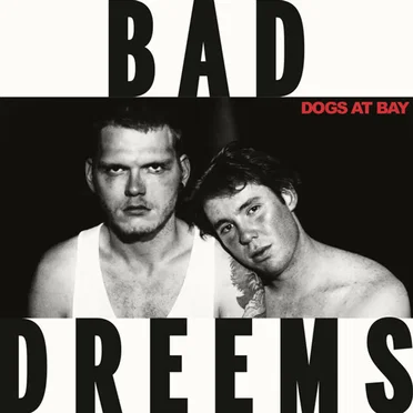 Dogs at Bay