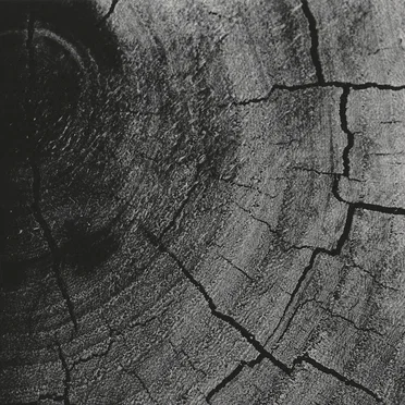 Live at Cultural Center Luchtbal, Antwerpen Belgium. November 23rd 2002.