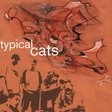 Typical Cats by Typical Cats - album cover