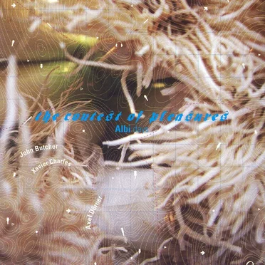 Albi Days by The Contest of Pleasures - album cover