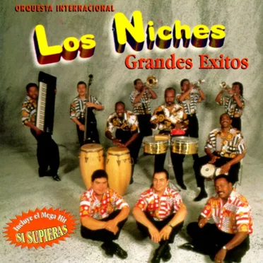 Grandes éxitos by Orquesta Internacional Los Niches - album cover