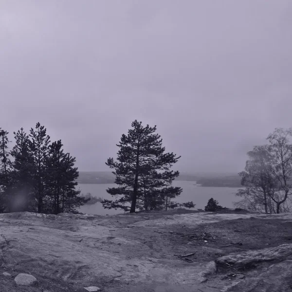 Matkalla kadotukseen