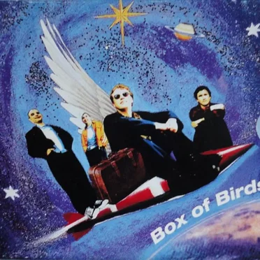 Box of Birds
