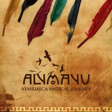 Ayahuasca Mistical Journey by Various Artists - album cover