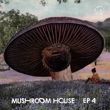Mushroom House EP 4 by Various Artists - album cover