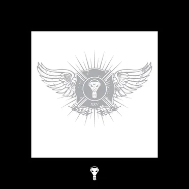 XXV by Enzyme X - album cover