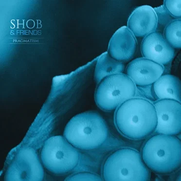 Pragmatism by Shob - album cover