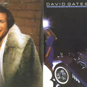 Falling in Love Again