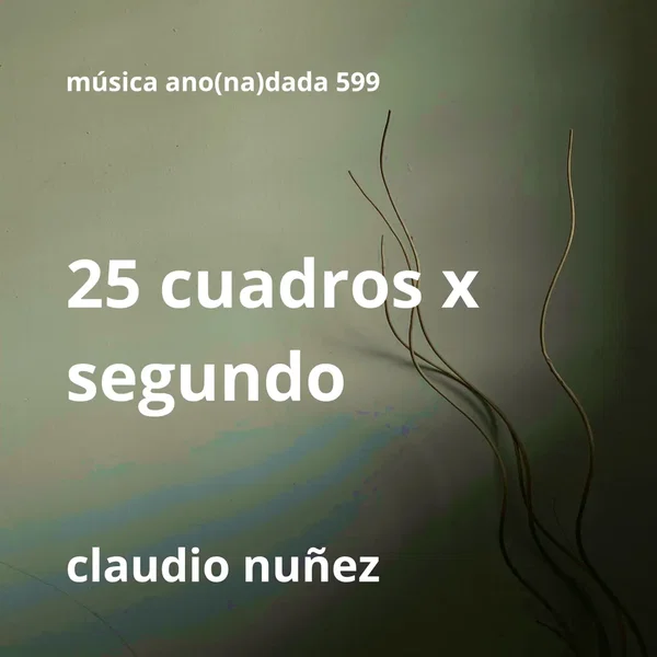 25 cuadros x segundo
