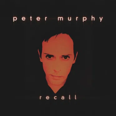 Recall