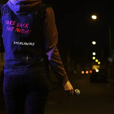 Take Back the Night by Dachlawine - album cover