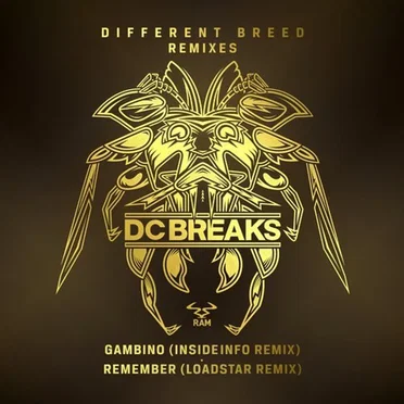 Gambino (Insideinfo remix) / Remember (Loadstar remix)