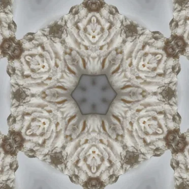 Synapsnschnaxla
