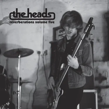 reverberations, volume five