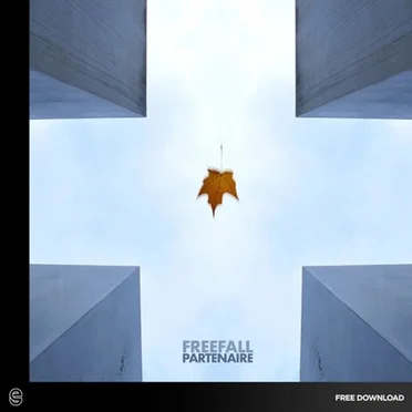 Freefall