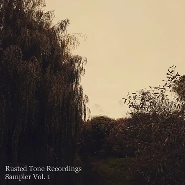 Rusted Tone Recordings: Sampler, Vol. 1 by Various Artists - album cover