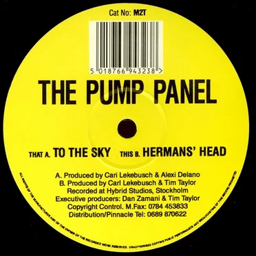 To the Sky / Herman's Head