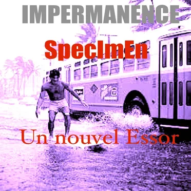 Un nouvel essor
