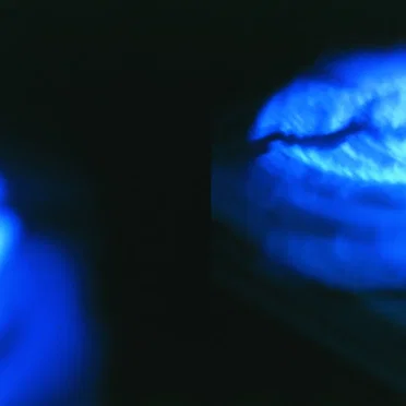 Flash
