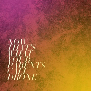 Now That's What Your Parents Call Drone by Various Artists - album cover