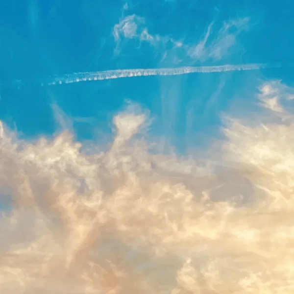 It’s the End of the World but It’s a Beautiful Day