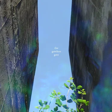 The Gateless Gate