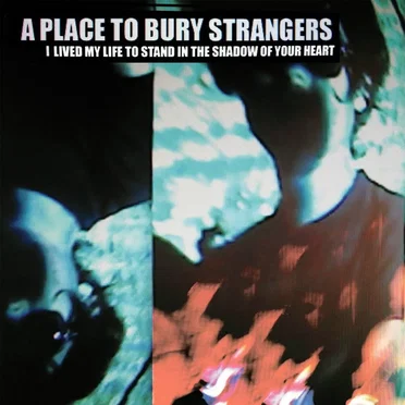 I Lived My Life to Stand in the Shadow of Your Heart by A Place to Bury Strangers - album cover