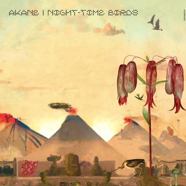 Night-Time Birds by Akane - album cover