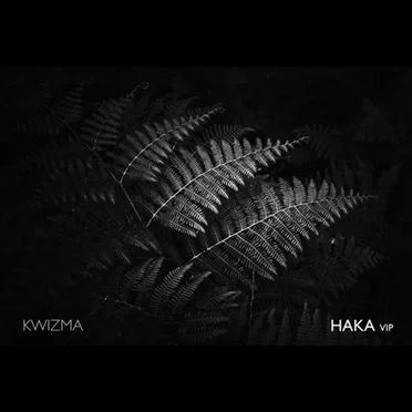 Haka VIP