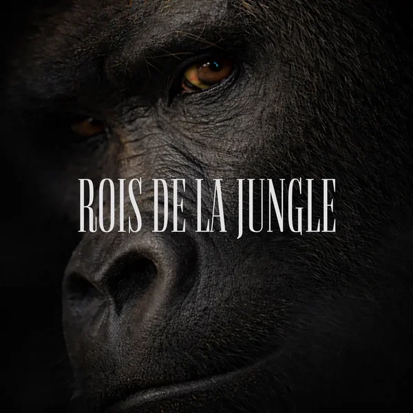ROIS DE LA JUNGLE