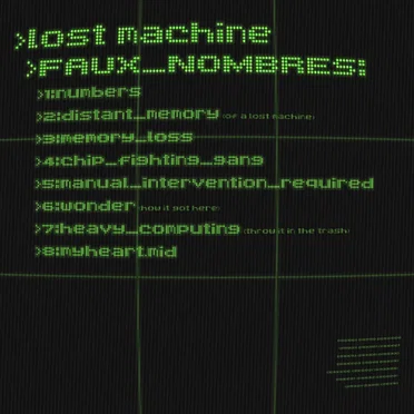 FAUX_NOMBRES by lost machine - album cover