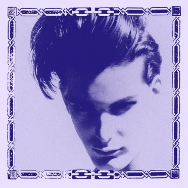 heartshorn by The World is a Vampire - album cover